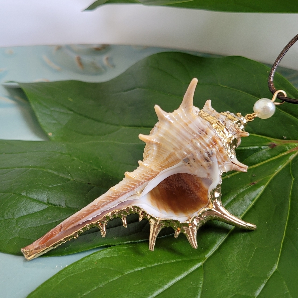 All Natural Seashell Gold Finish Pendant Necklace NWT